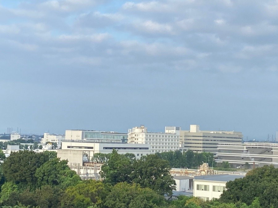 今朝の富士山