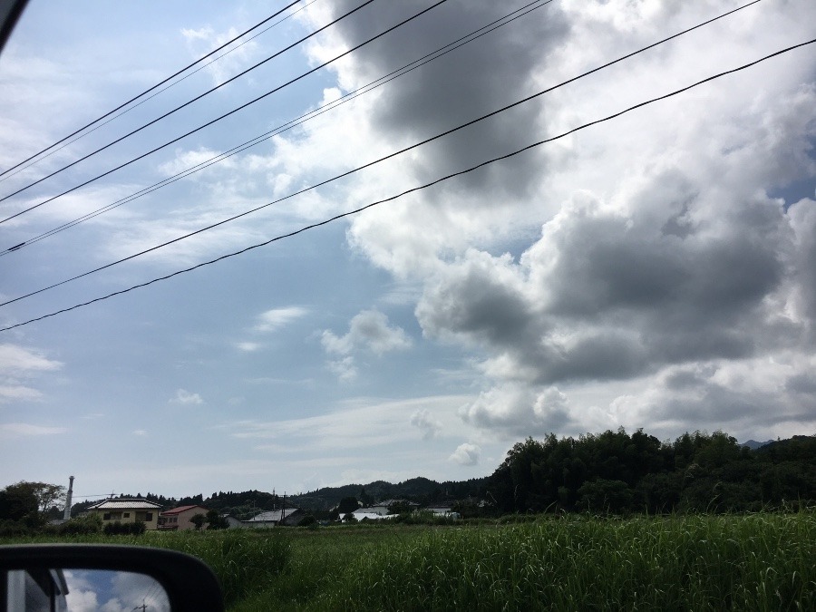 ⭕️空部→ 今日の空（≧∇≦）‼️773.