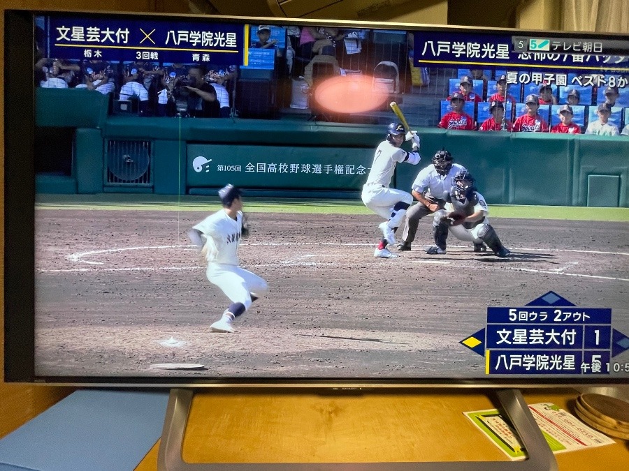 第１０５回全国高校野球選手選手権大会第１０日