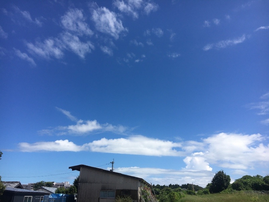 ⭕️空部→ 今日の空（≧∇≦）‼️797.