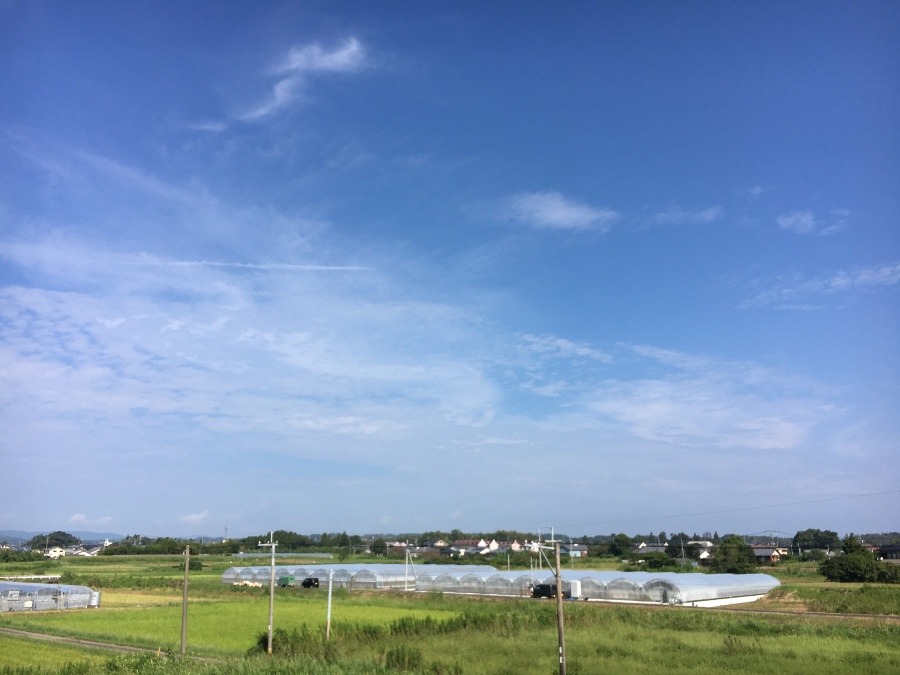 ⭕️空部→ 今日の空（≧∇≦）‼️821.