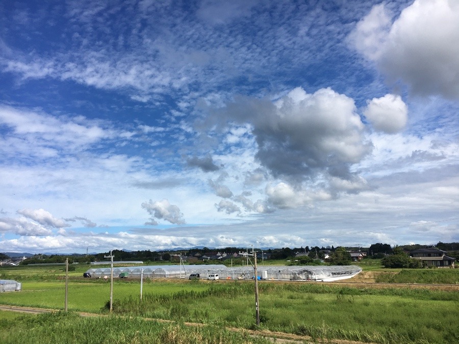 ⭕️空部→ 今日の空（≧∇≦）‼️798.