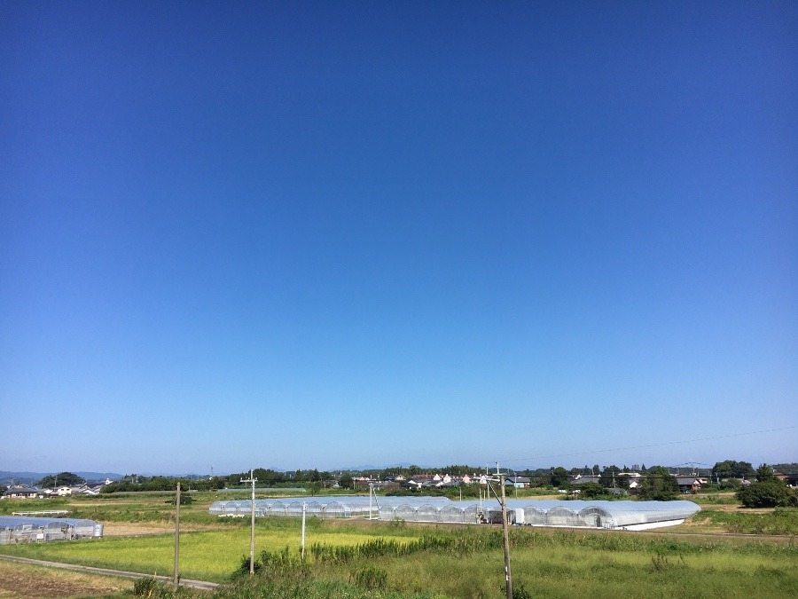 ⭕️空部→ 今日の空（≧∇≦）‼️841.