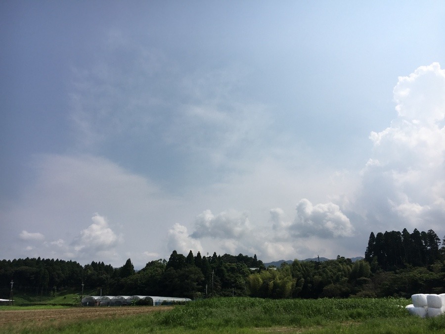 ⭕️空部→ 今日の空（≧∇≦）‼️801.