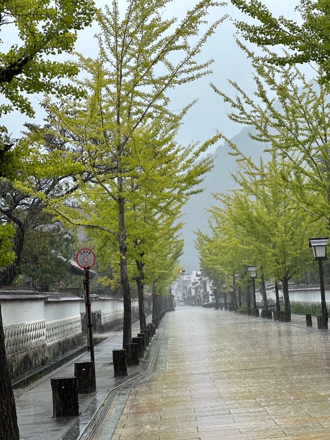 山陰の小京都　津和野