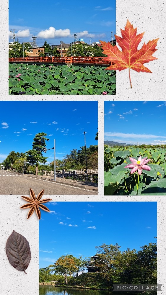 高田城址公園