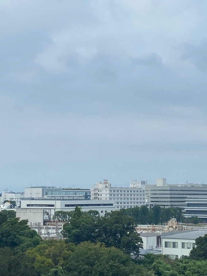 今朝の富士山