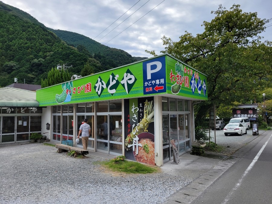 河津七滝かどやさんのプレミアムわさび丼