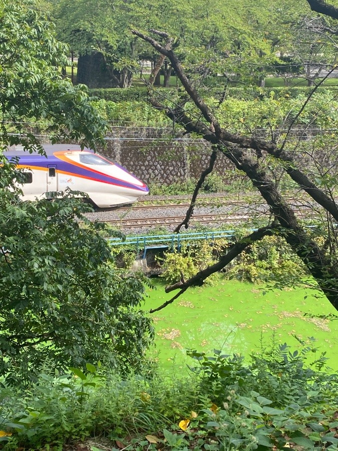 山形新幹線🚅