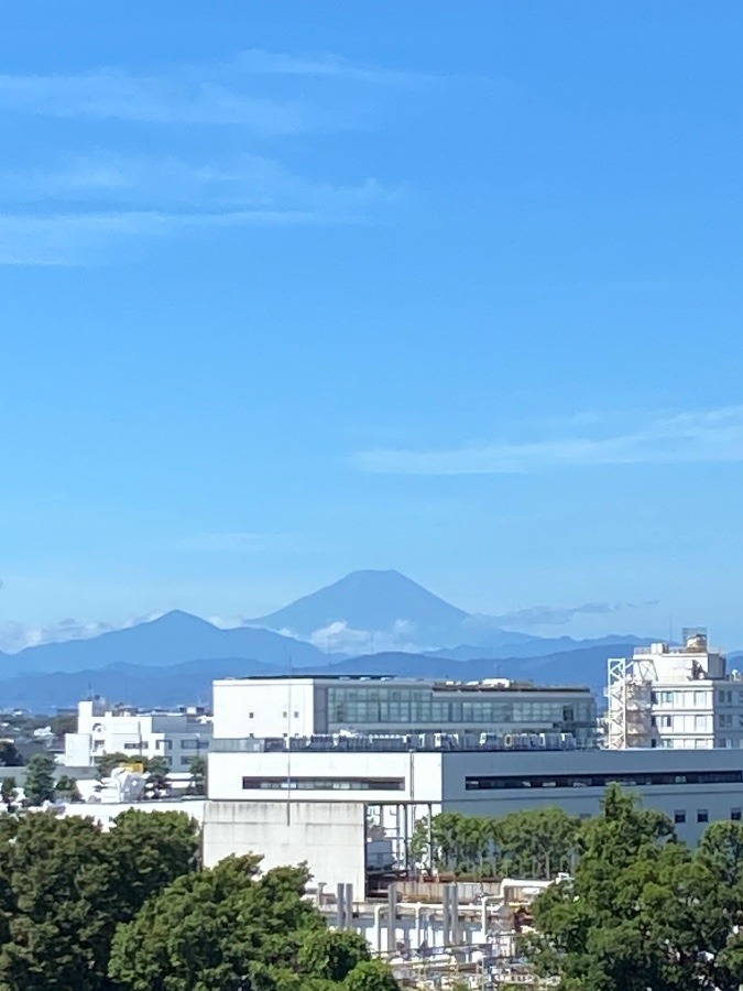 富士山