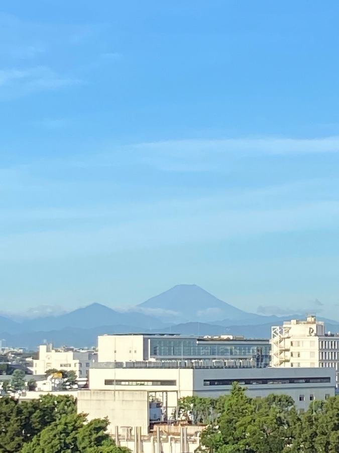 今朝の富士山