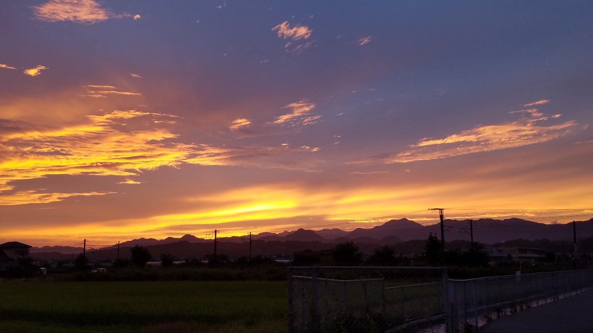 今日の朝陽