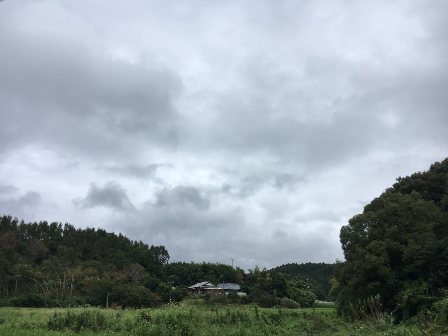 ⭕️空部→ 今日の空（≧∇≦）‼️811.