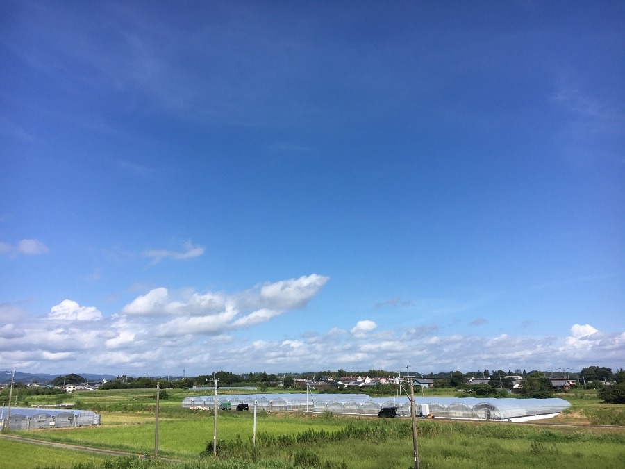 ⭕️空部→ 今日の空（≧∇≦）‼️815.