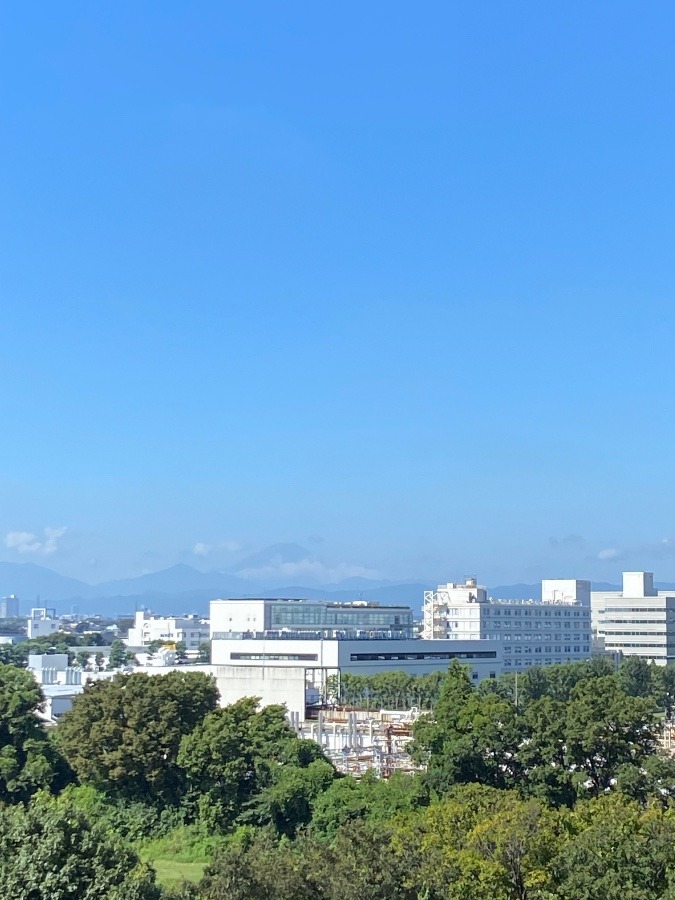 お出かけ前の富士山