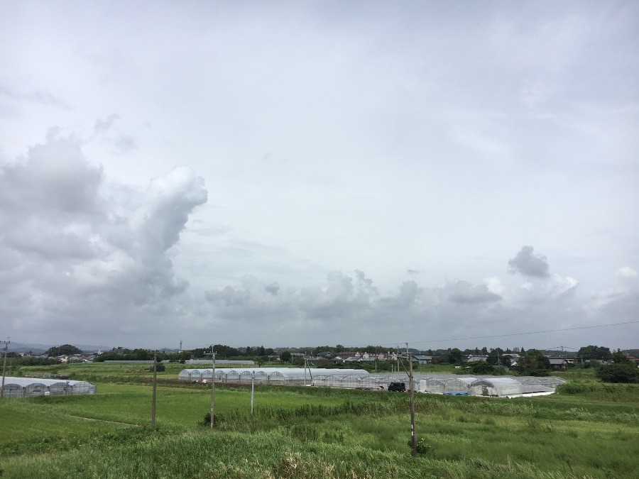 ⭕️空部→ 今日の空（≧∇≦）‼️802.