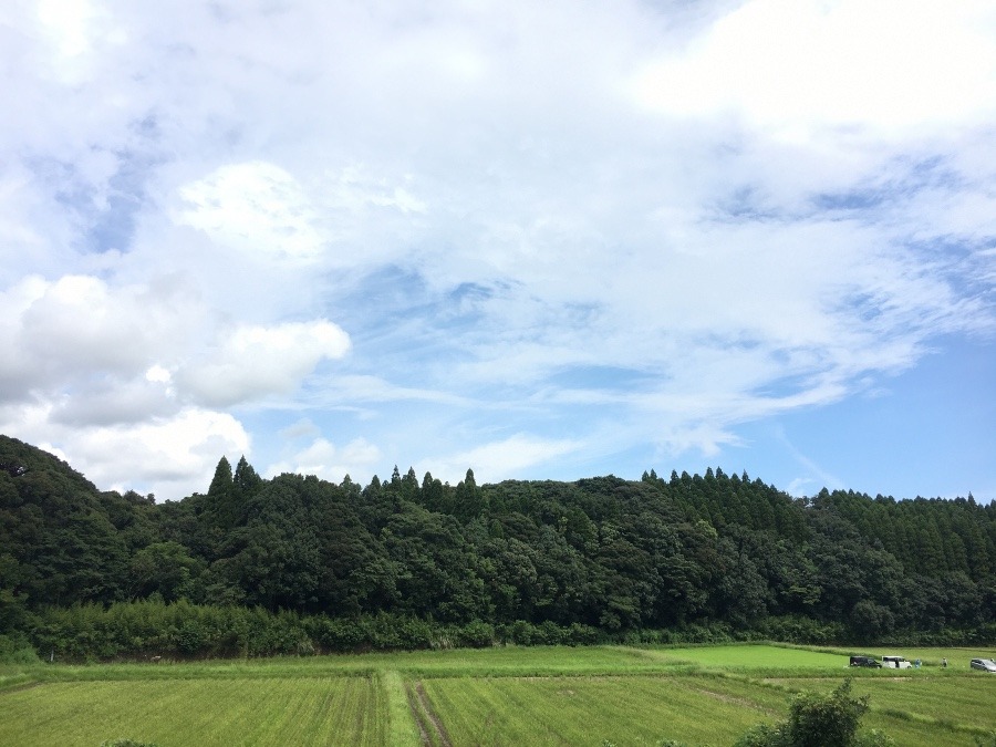 ⭕️空部→ 今日の空（≧∇≦）‼️818.