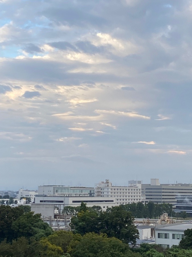 今朝の富士山