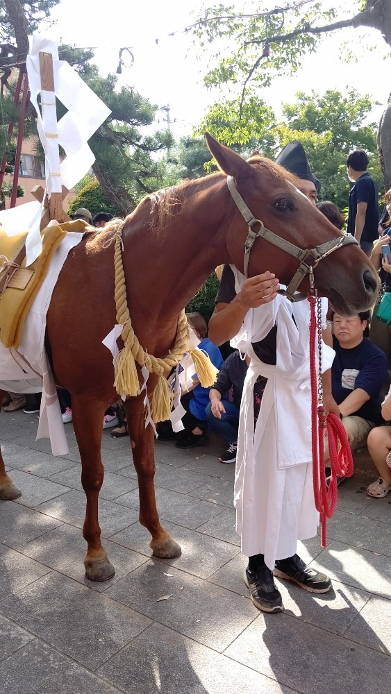 谷地どんがまつり⛩️馬もくぐります🐴