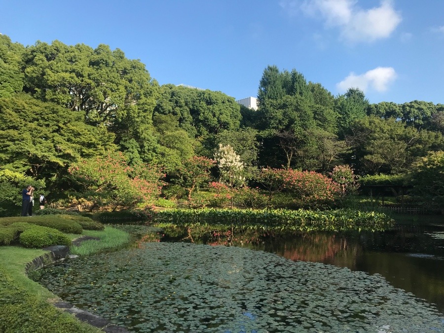 初めての皇居庭園