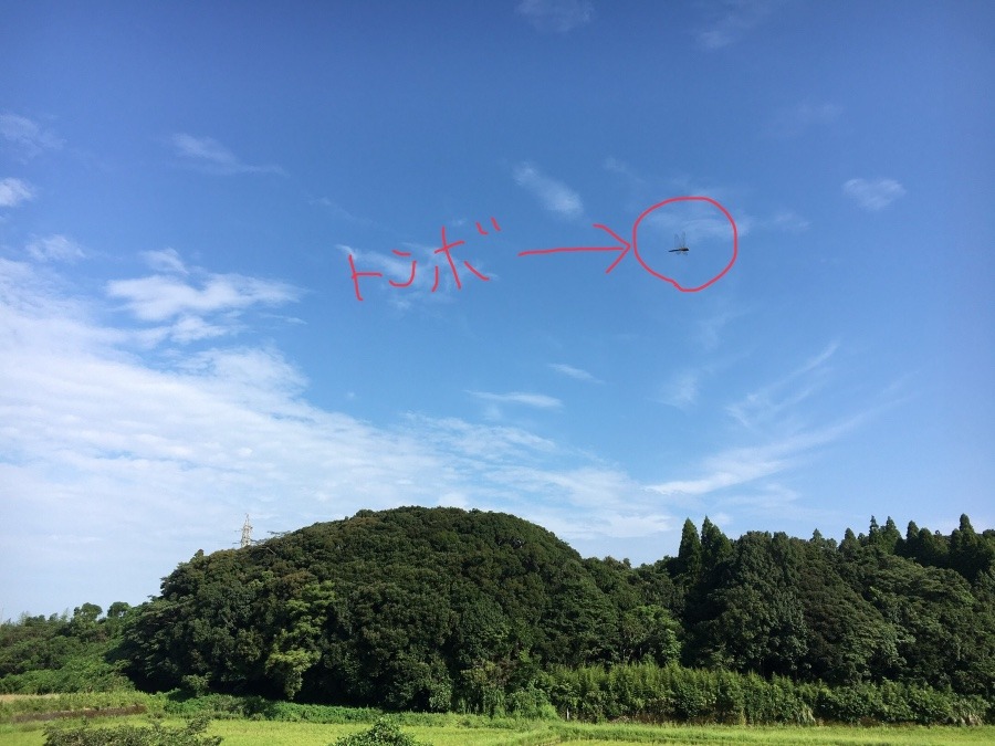 ⭕️空部→ 今日の空（≧∇≦）‼️820.