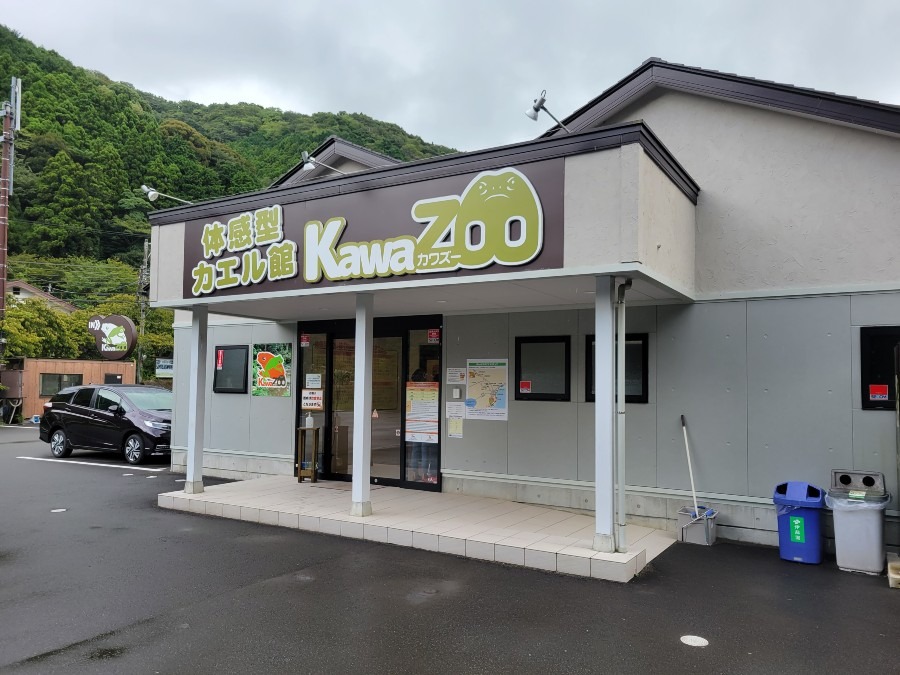 体感型カエル館　　KawaZoo