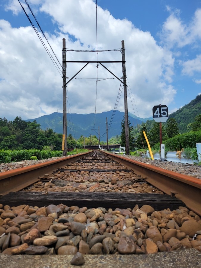 錆び付いてしまった線路　大井川鐵道本線