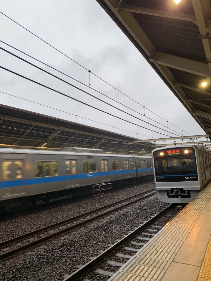 ☆東京地方　台風接近☆