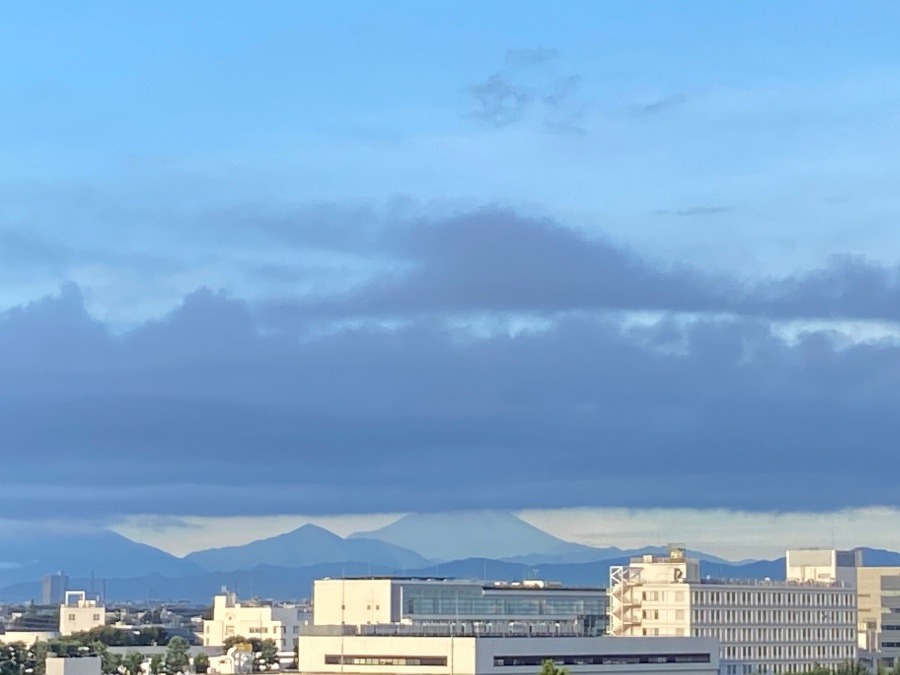 今朝の富士山