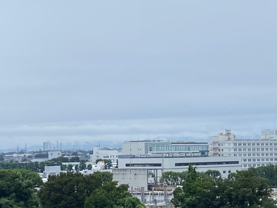 今朝の富士山