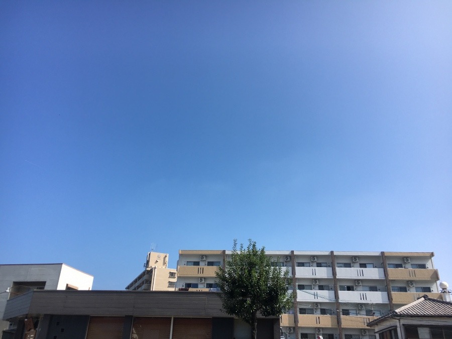 ⭕️空部→ 今日の空（≧∇≦）‼️817.