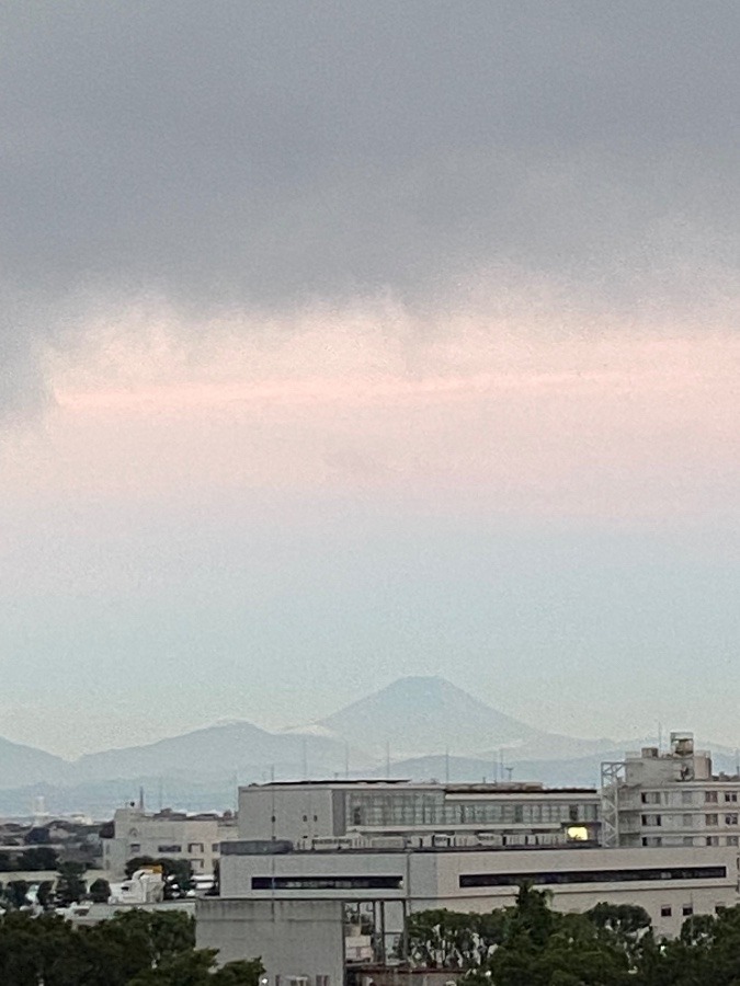 今朝の富士山