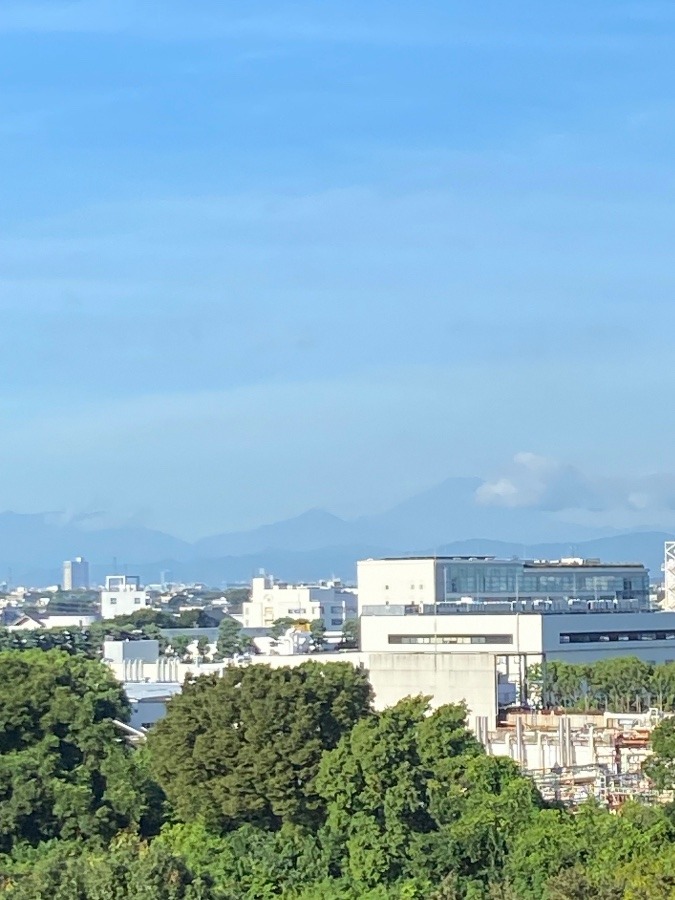 今朝の富士山