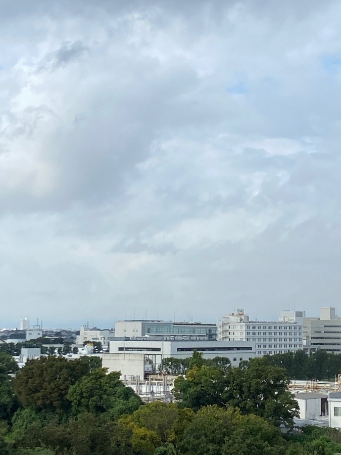 今朝の富士山