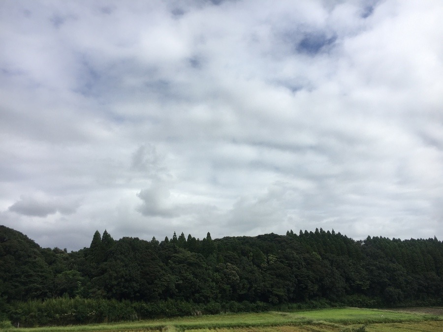 ⭕️空部→ 今日の空（≧∇≦）‼️842.