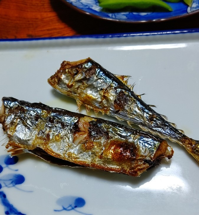 初秋刀魚で～す✌️