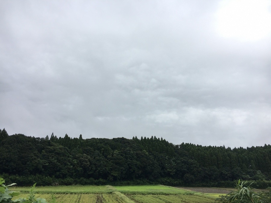 ⭕️空部→ 今日の空（≧∇≦）‼️830.