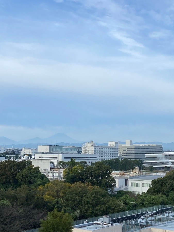 今朝の富士山