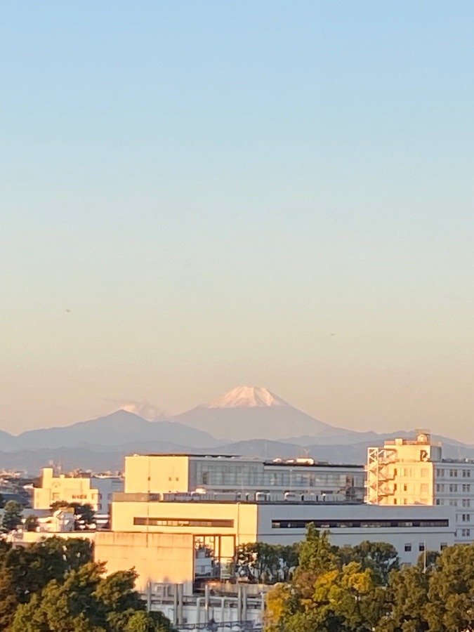 今朝の富士山　美しい