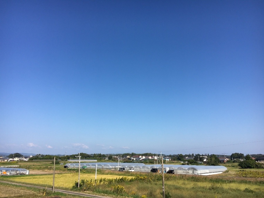 ⭕️空部→ 今日の空（≧∇≦）‼️885.