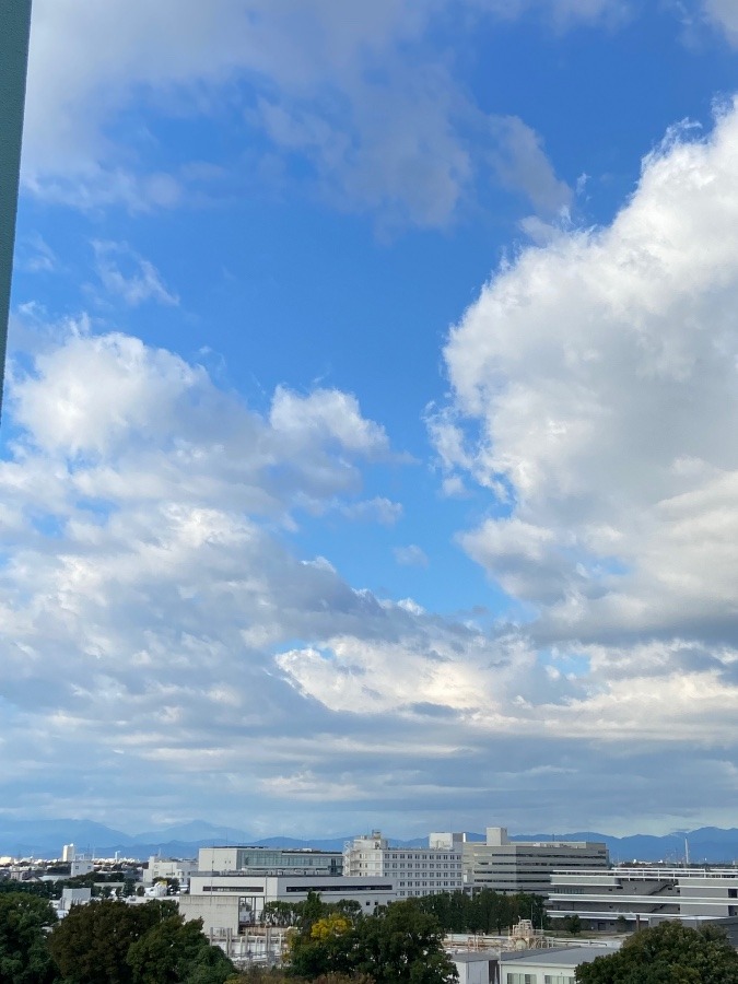 今朝の富士山