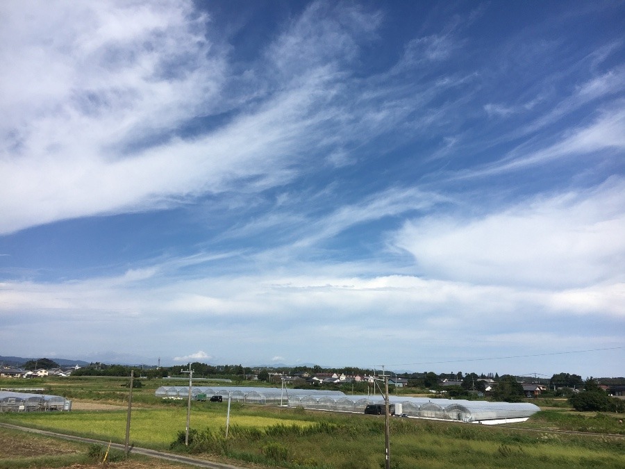 ⭕️空部→ 今日の空（≧∇≦）‼️849.