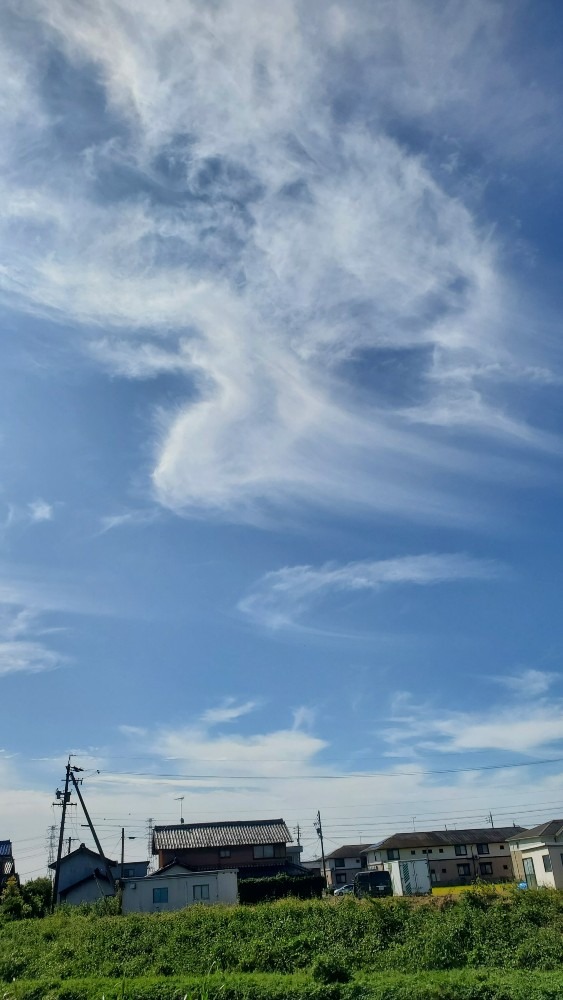 龍雲&鳳凰雲を見ちゃった～😍