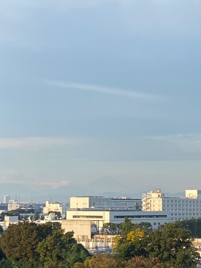 今朝の富士山