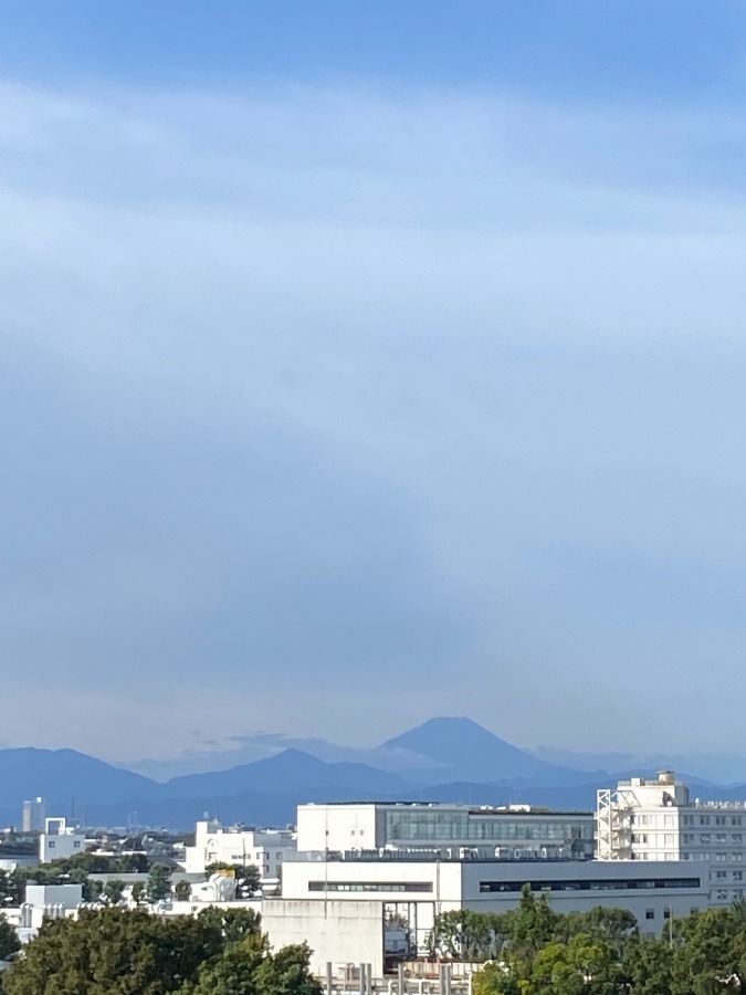 今朝の富士山