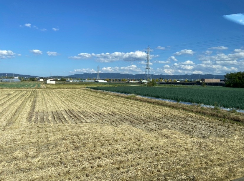 青い空　この広い空と広い農地に物流倉庫の群れが建つ