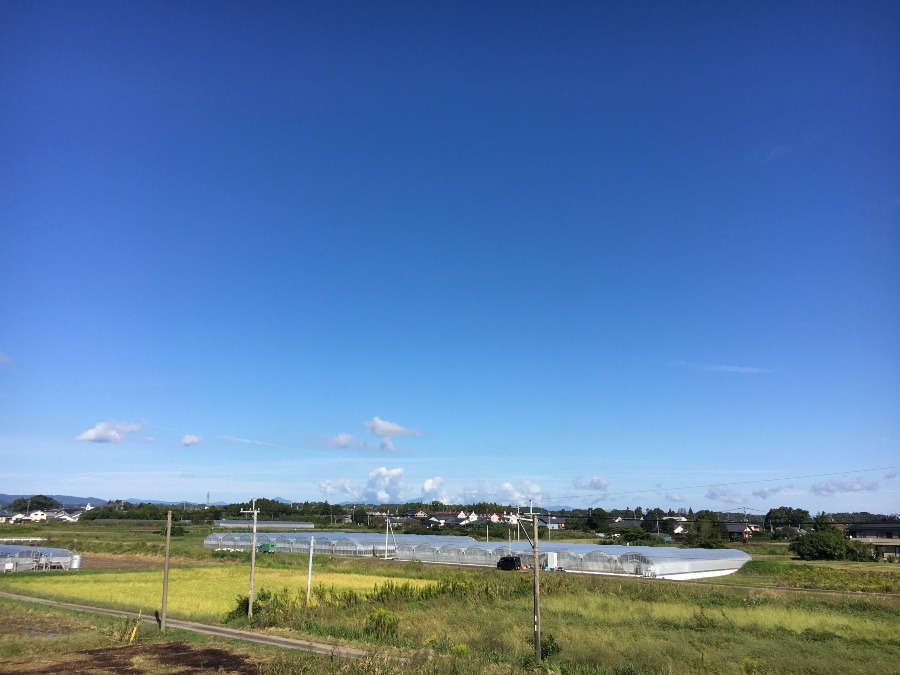 ⭕️空部→ 今日の空（≧∇≦）‼️866.