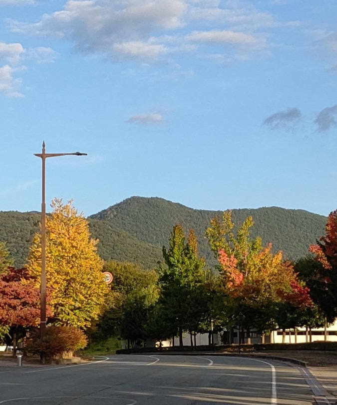 紅葉始め🍁