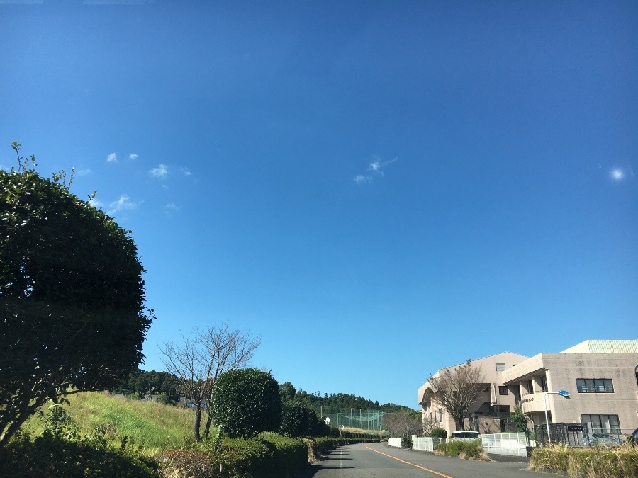 ⭕️空部→ 今日の空（≧∇≦）‼️891.