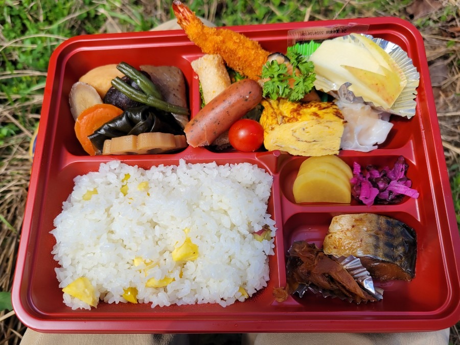 棚田の近くで食べたお弁当